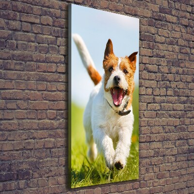 Foto obraz na płótnie pionowy Pies Jack Russell