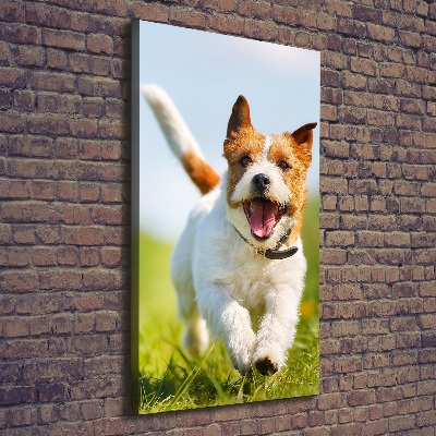 Foto obraz na płótnie pionowy Pies Jack Russell