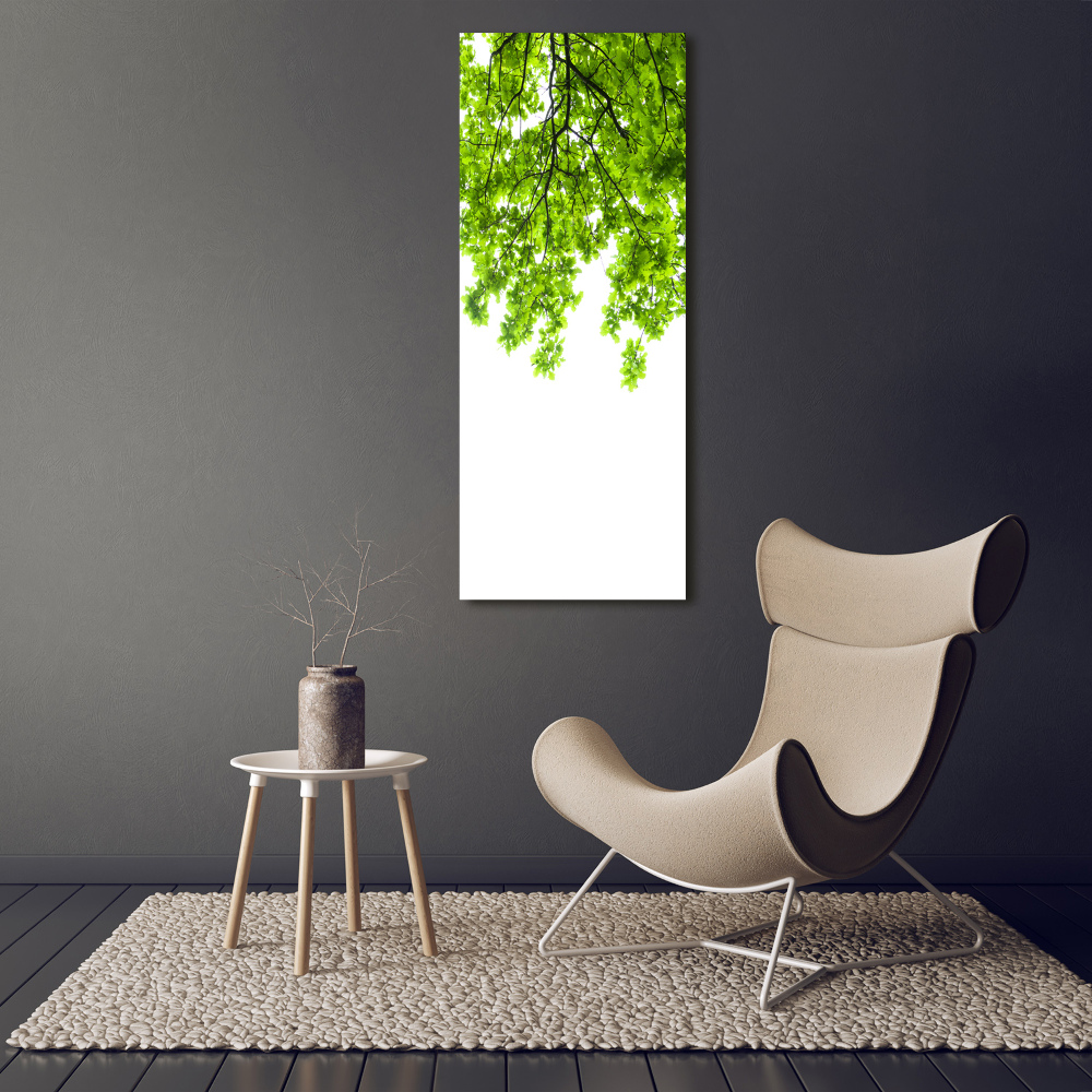 Foto obraz canvas pionowy Korona drzew