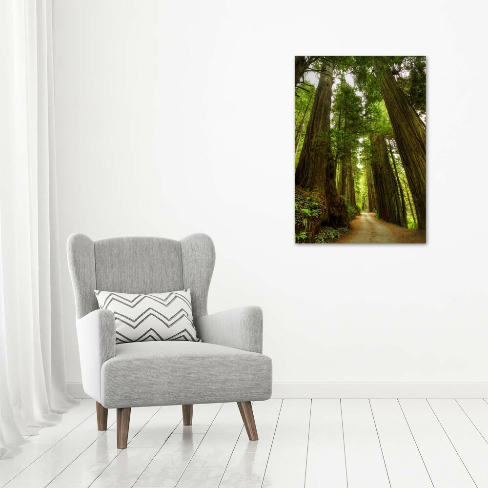 Foto obraz na płótnie pionowy Ścieżka w lesie
