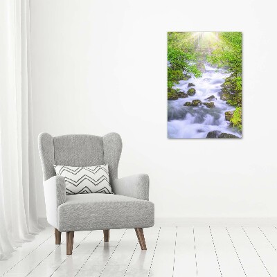 Foto obraz canvas pionowy Górski potok
