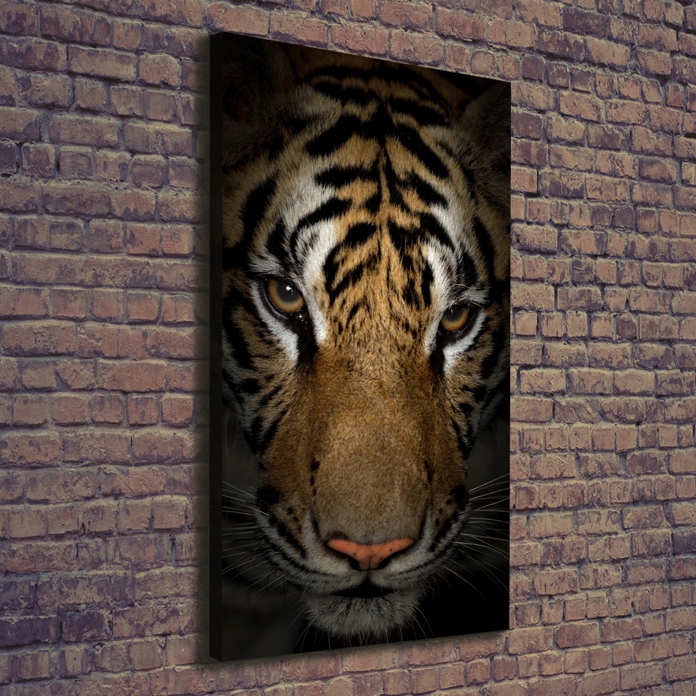 Nowoczesny fotoobraz canvas na ramie pionowy Tygrys