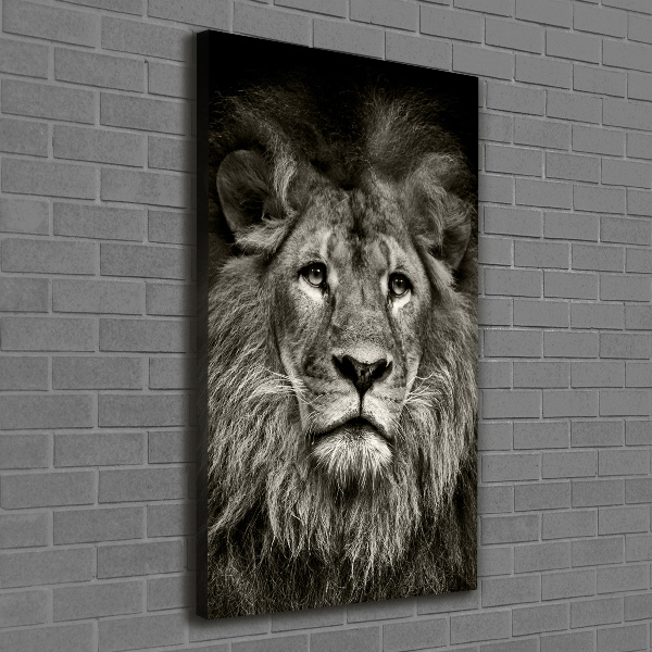 Foto obraz canvas pionowy Lew