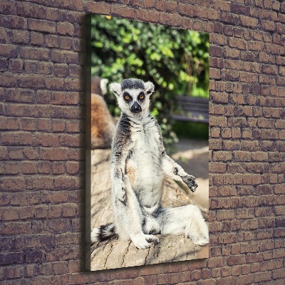 Foto obraz drukowany na płótnie pionowy Lemur