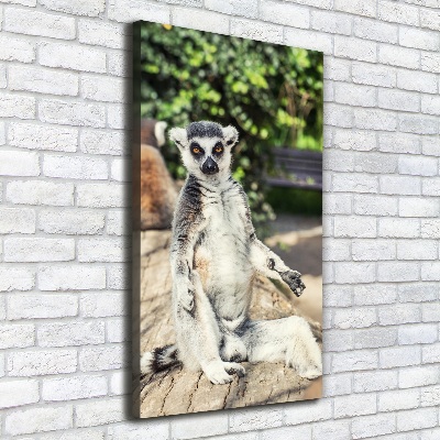 Foto obraz drukowany na płótnie pionowy Lemur