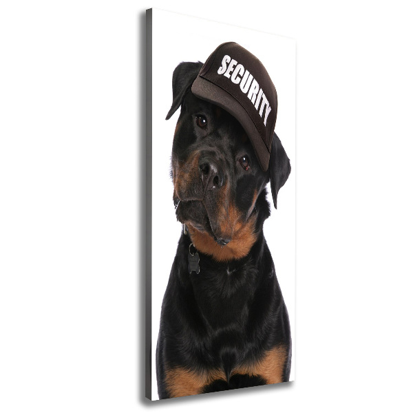 Foto obraz na płótnie pionowy Rottweiler w czapce