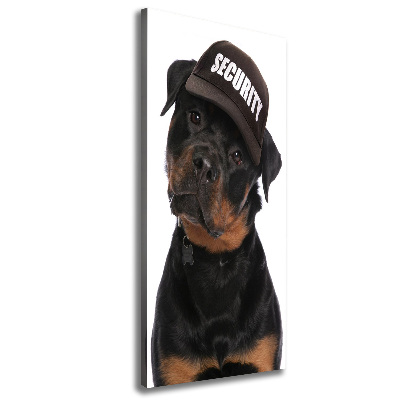 Foto obraz na płótnie pionowy Rottweiler w czapce