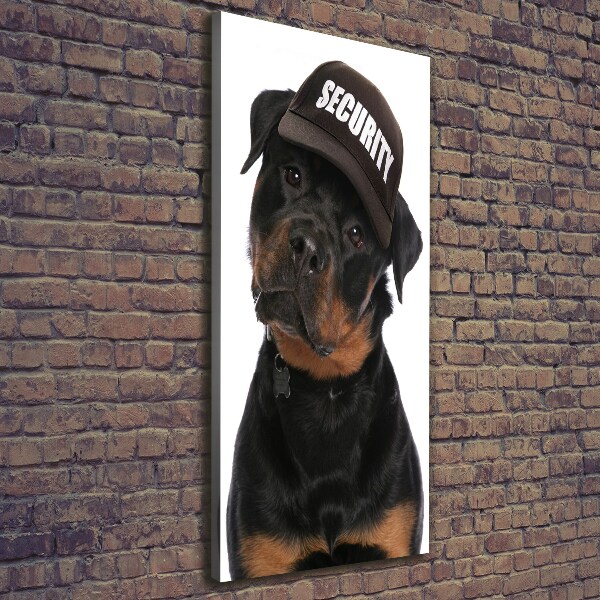Foto obraz na płótnie pionowy Rottweiler w czapce