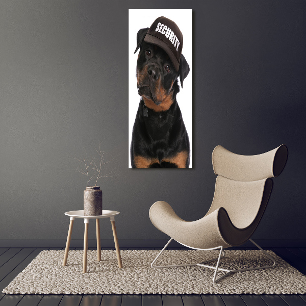 Foto obraz na płótnie pionowy Rottweiler w czapce