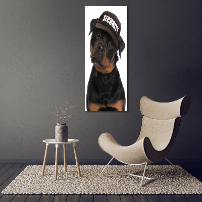 Foto obraz na płótnie pionowy Rottweiler w czapce