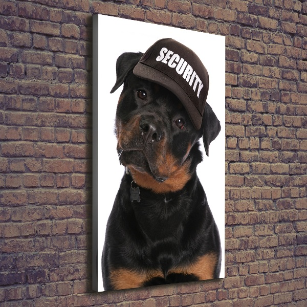 Foto obraz na płótnie pionowy Rottweiler w czapce