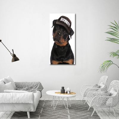 Foto obraz na płótnie pionowy Rottweiler w czapce