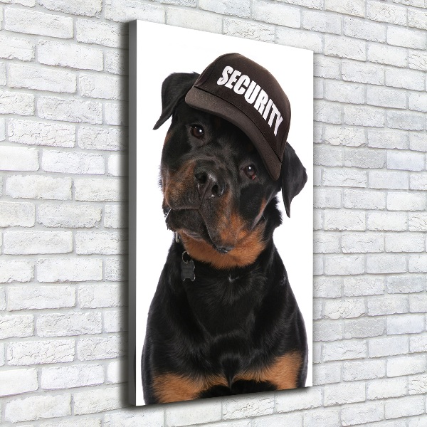 Foto obraz na płótnie pionowy Rottweiler w czapce