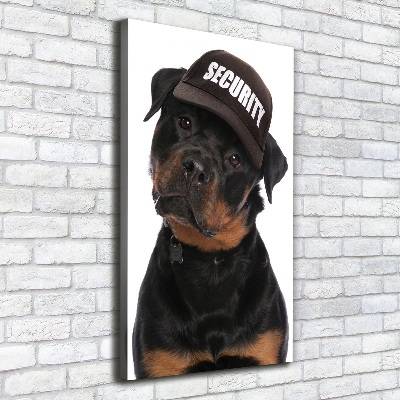 Foto obraz na płótnie pionowy Rottweiler w czapce
