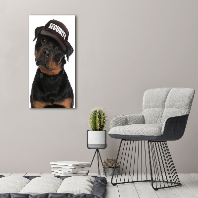 Foto obraz na płótnie pionowy Rottweiler w czapce