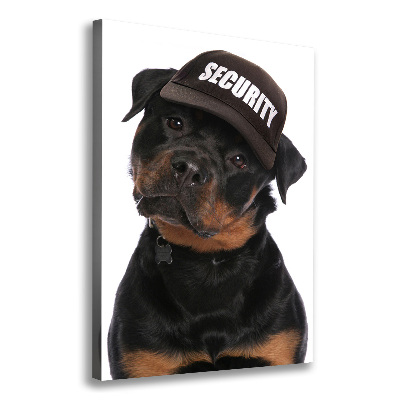 Foto obraz na płótnie pionowy Rottweiler w czapce