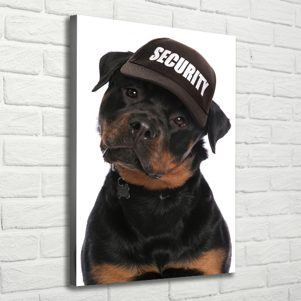 Foto obraz na płótnie pionowy Rottweiler w czapce