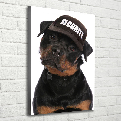 Foto obraz na płótnie pionowy Rottweiler w czapce