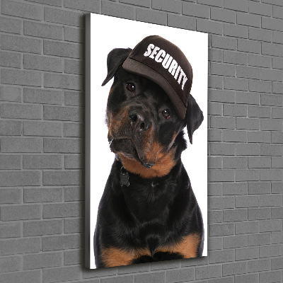Foto obraz na płótnie pionowy Rottweiler w czapce
