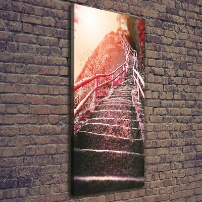 Foto obraz na płótnie pionowy Schody w górach