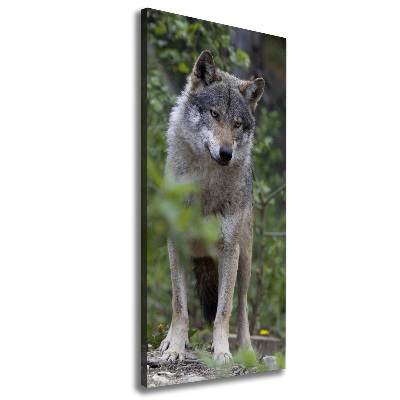 Foto obraz canvas pionowy Wilk w lesie