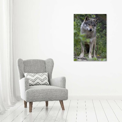 Foto obraz canvas pionowy Wilk w lesie