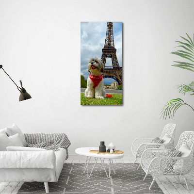 Foto obraz na płótnie pionowy Pies w Paryżu