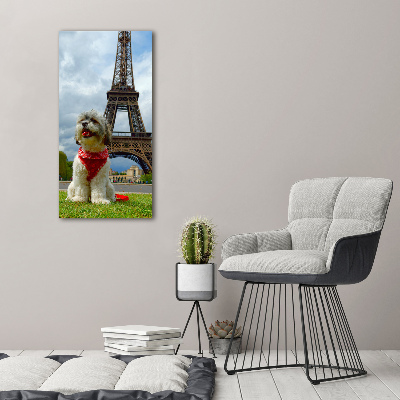 Foto obraz na płótnie pionowy Pies w Paryżu