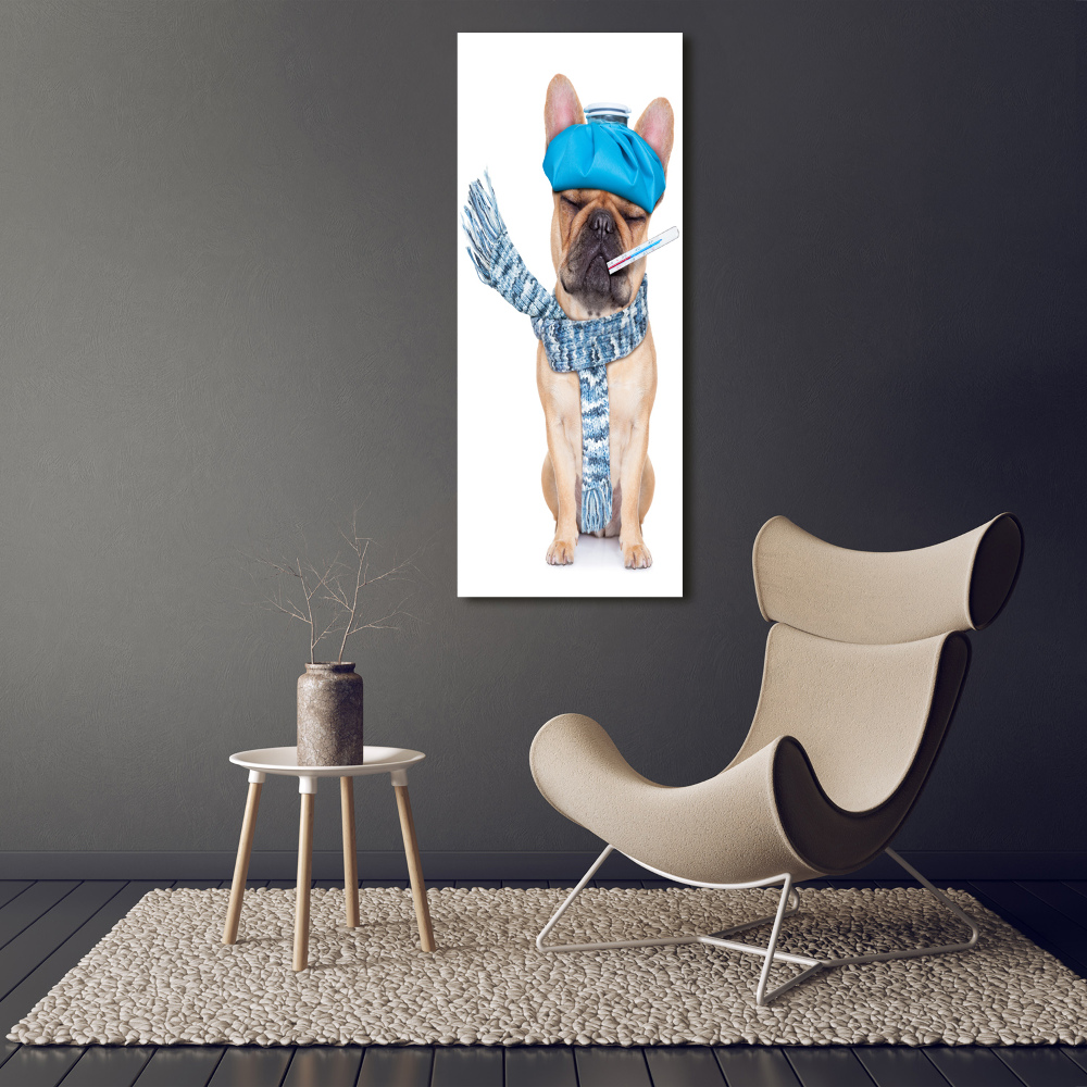 Foto obraz na płótnie do salonu pionowy Chory pies