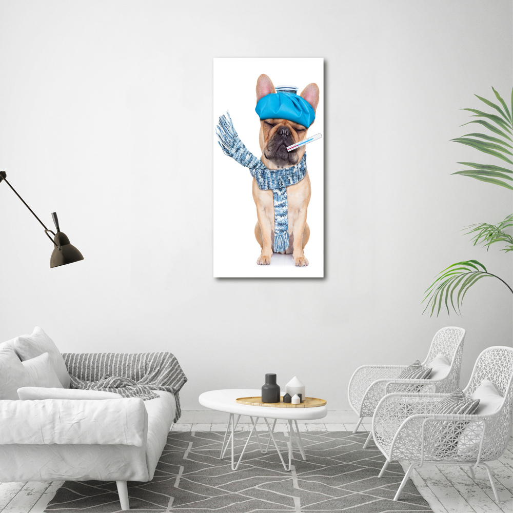 Foto obraz na płótnie do salonu pionowy Chory pies