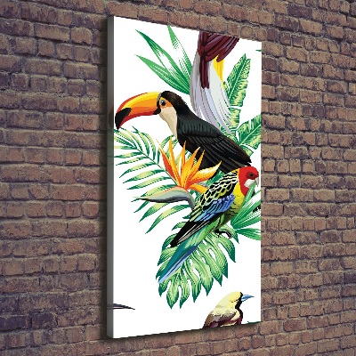 Foto obraz na płótnie pionowy Tropikalne ptaki
