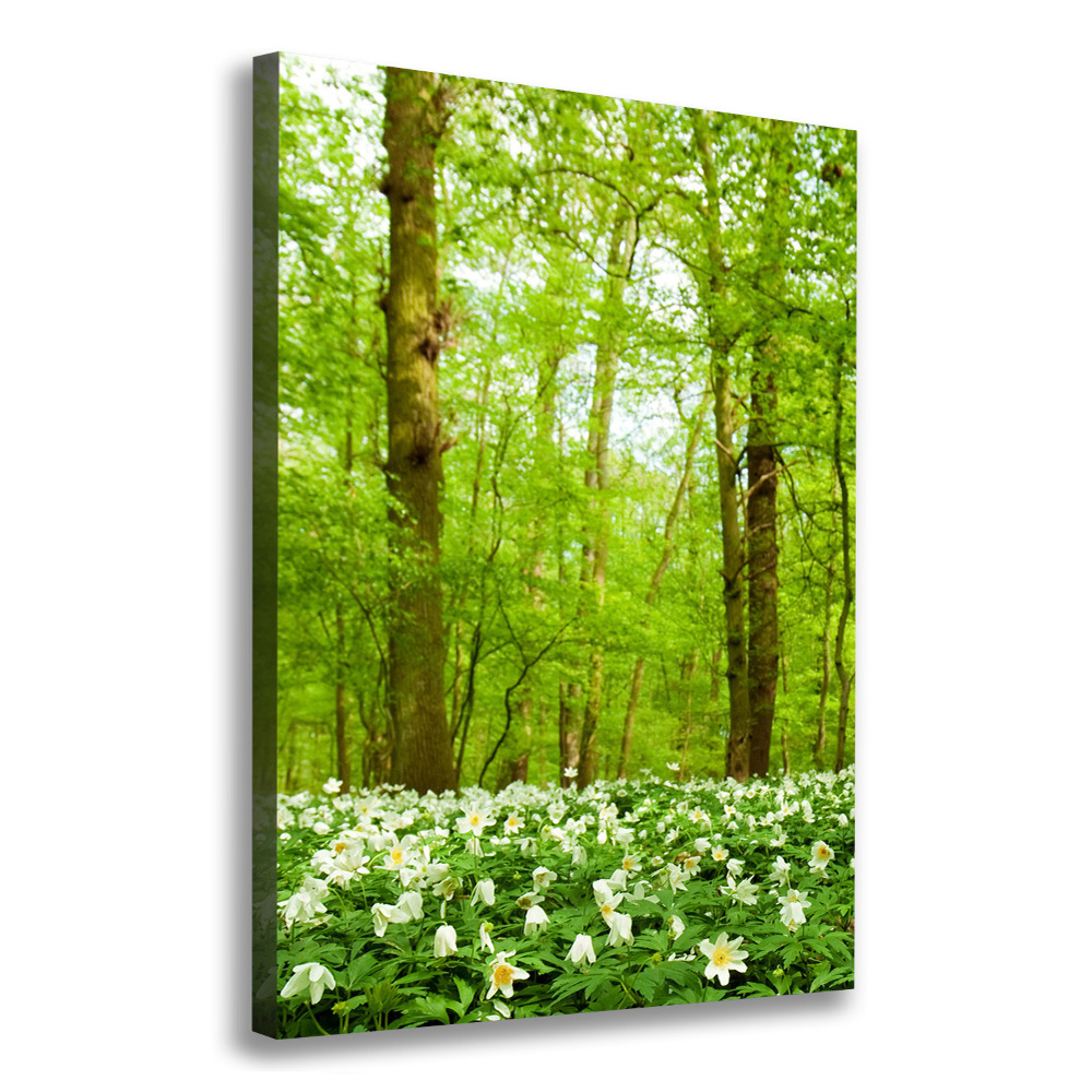 Foto obraz na płótnie pionowy Kwiaty w lesie