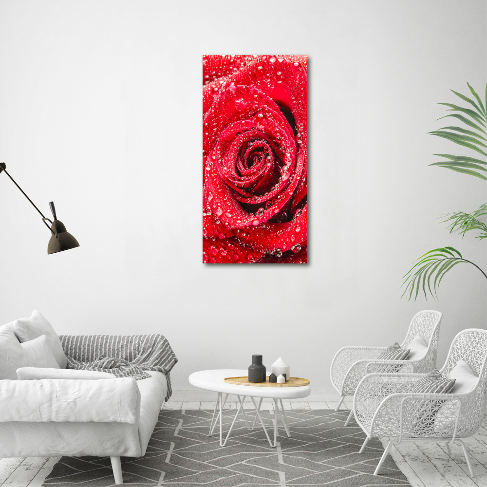 Foto obraz na płótnie pionowy Czerwona róża