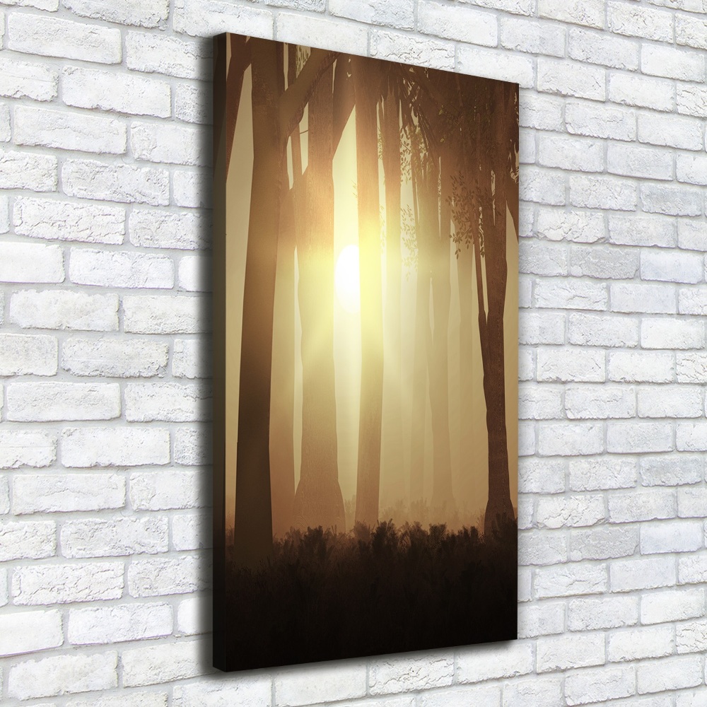 Foto obraz canvas pionowy Mgłą w lesie