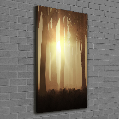 Foto obraz canvas pionowy Mgłą w lesie
