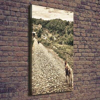 Foto obraz na płótnie pionowy Dwa psy wzgórza