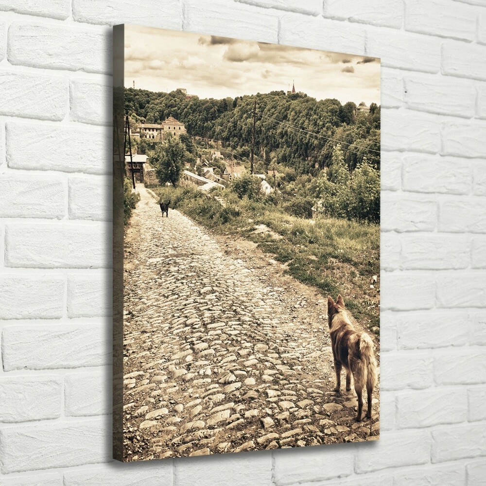 Foto obraz na płótnie pionowy Dwa psy wzgórza