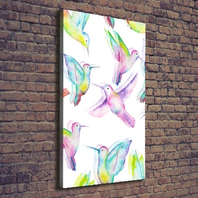 Foto obraz na płótnie pionowy Kolorowe kolibry