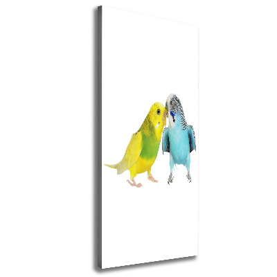 Foto obraz na płótnie pionowy Papużki faliste