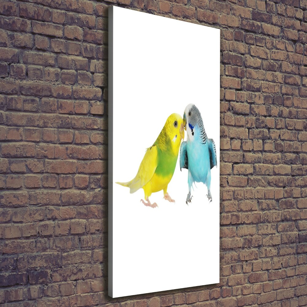 Foto obraz na płótnie pionowy Papużki faliste