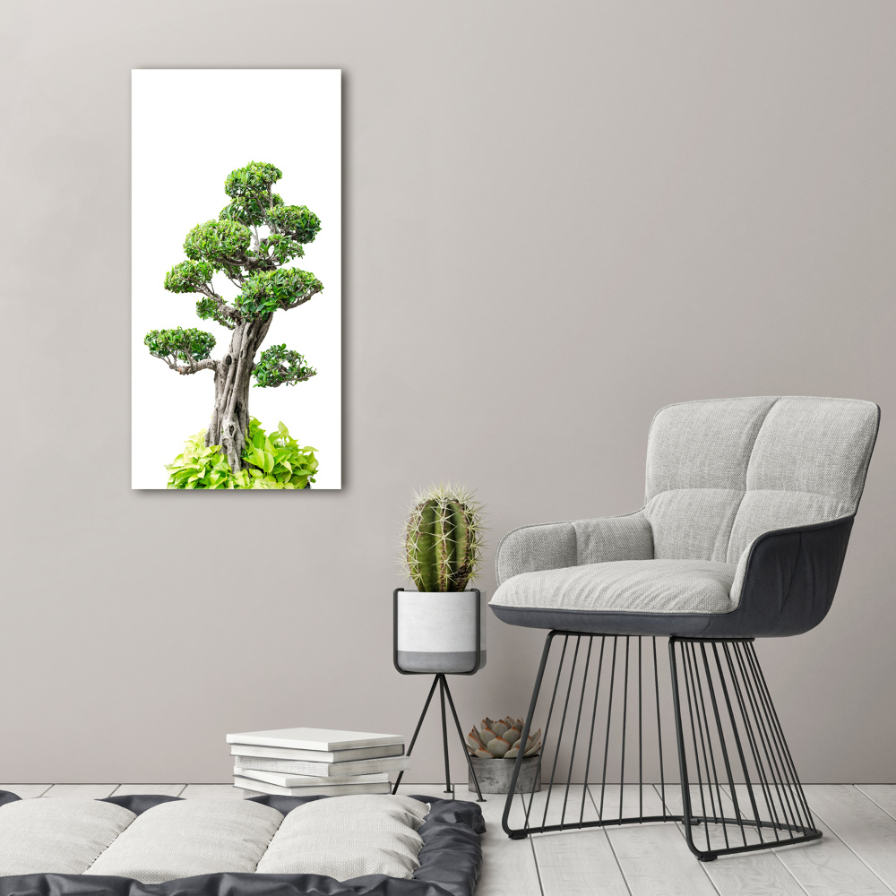 Foto obraz na płótnie pionowy Drzewo bonsai