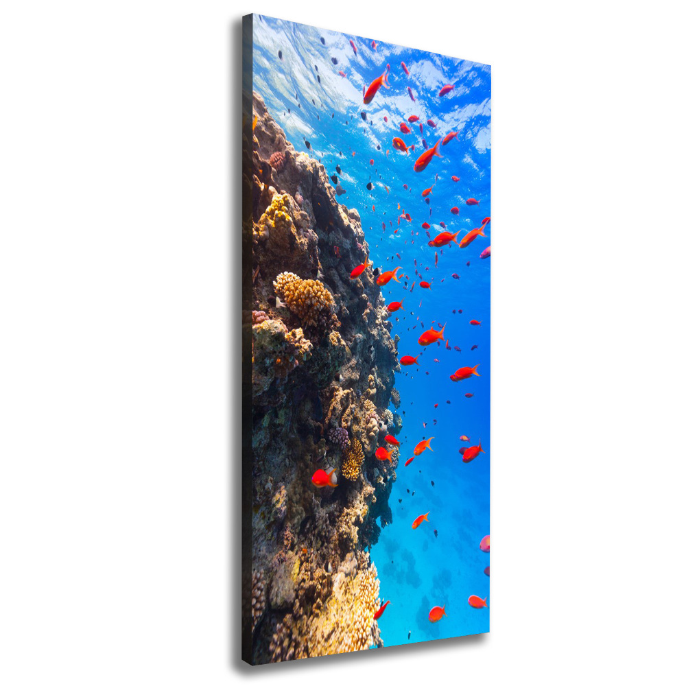 Foto obraz na płótnie pionowy Rafa koralowa