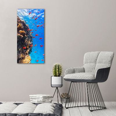 Foto obraz na płótnie pionowy Rafa koralowa