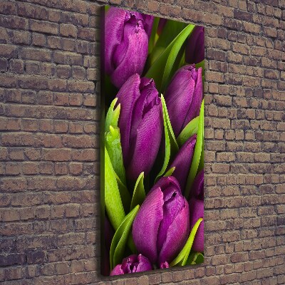Foto obraz na płótnie pionowy Fioletowe tulipany