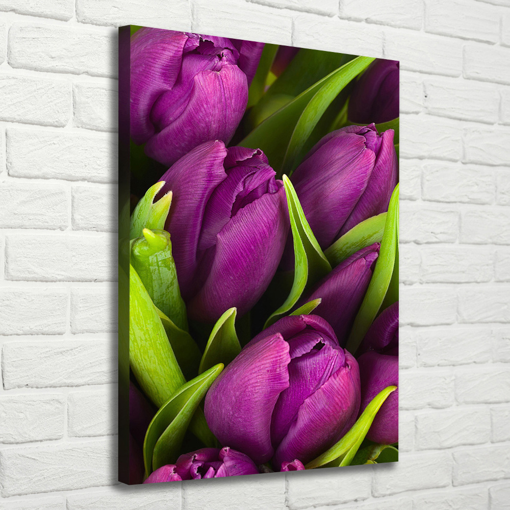 Foto obraz na płótnie pionowy Fioletowe tulipany