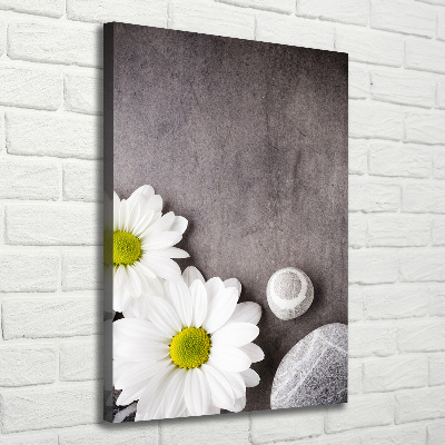 Nowoczesny obraz canvas na ramie pionowy Gerbera