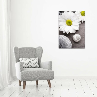 Nowoczesny obraz canvas na ramie pionowy Gerbera