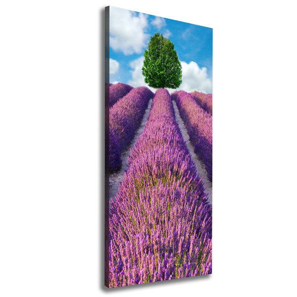 Foto obraz canvas pionowy Pole lawendy