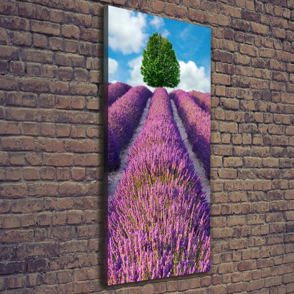 Foto obraz canvas pionowy Pole lawendy