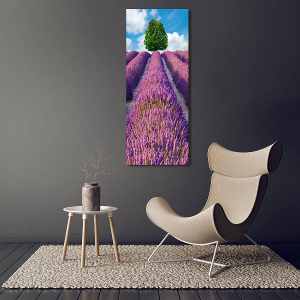 Foto obraz canvas pionowy Pole lawendy
